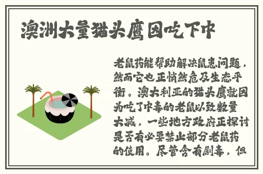 老色69久久九九精品高潮